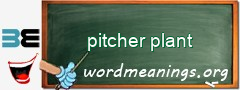 WordMeaning blackboard for pitcher plant